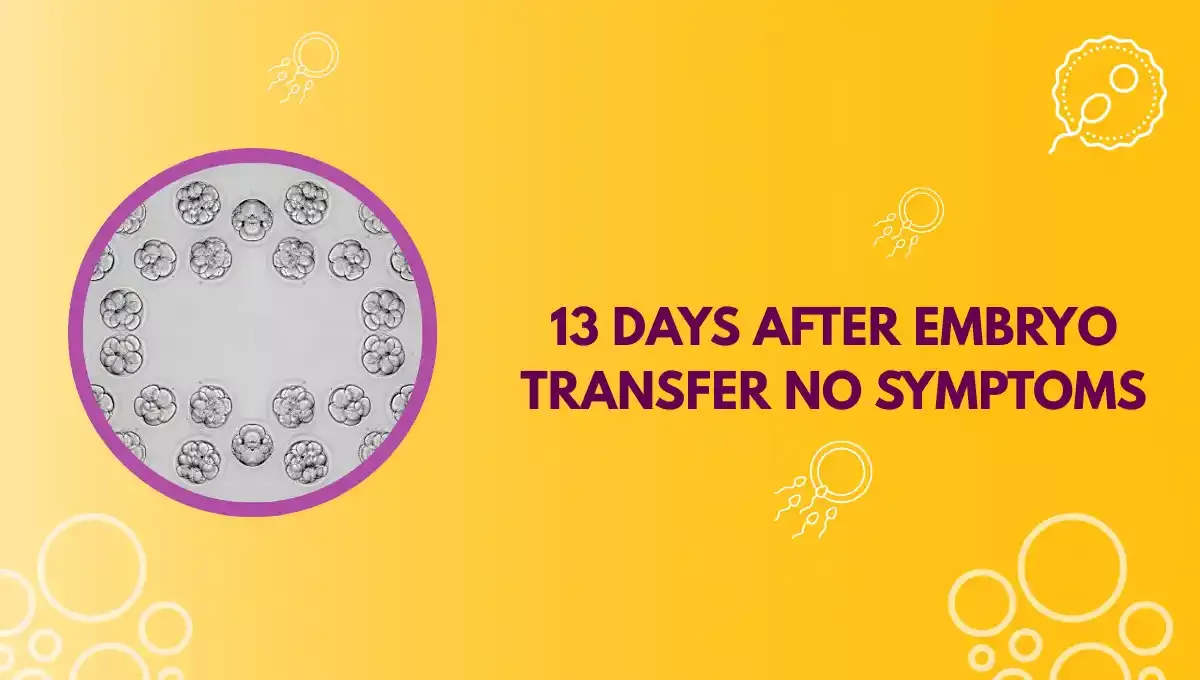 13 Days After Embryo Transfer No Symptoms