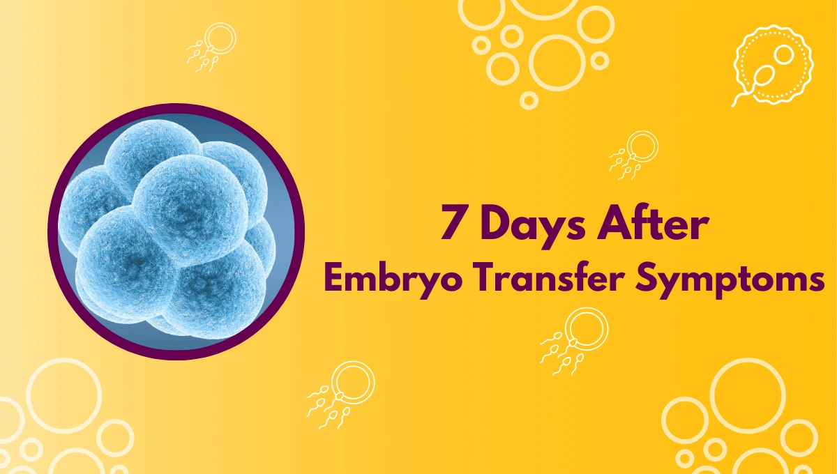 7 Days After Embryo Transfer Symptoms