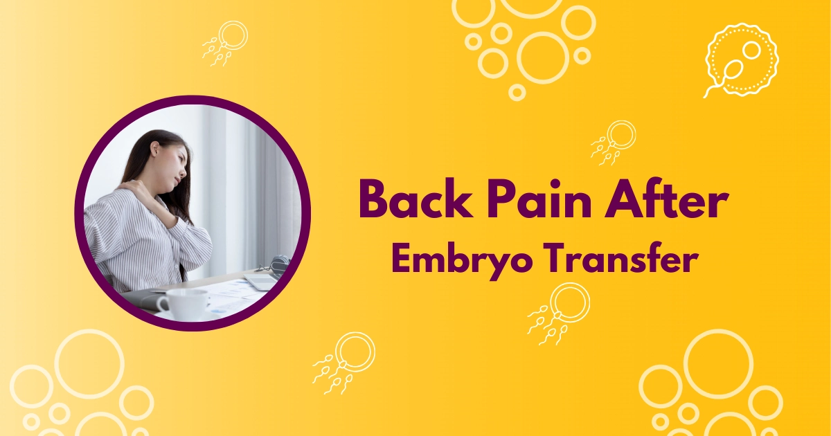 Back Pain After Embryo Transfer