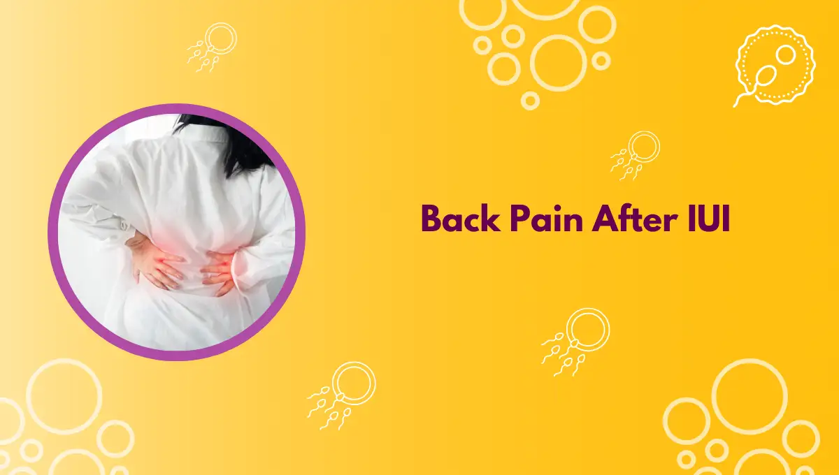 Back Pain After IUI