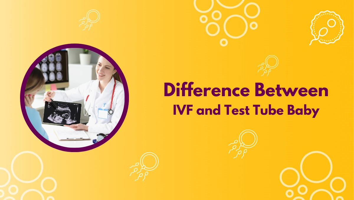 Difference Between IVF and Test Tube Baby