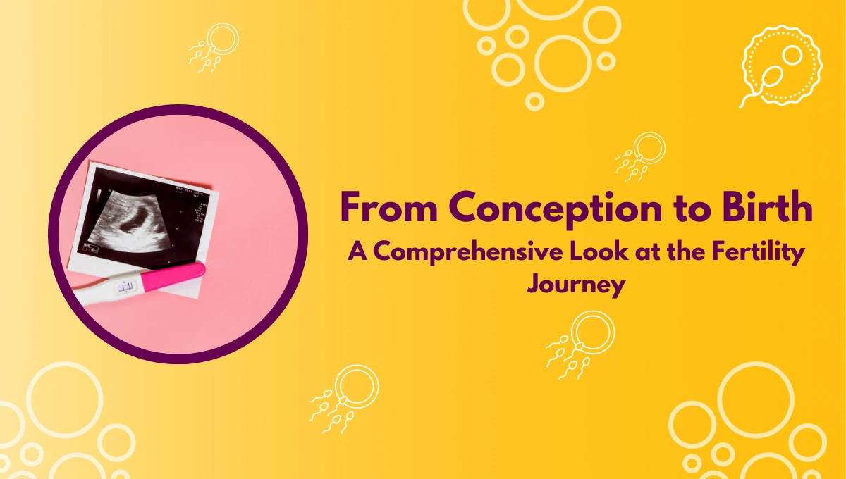 From Conception to Birth: A Comprehensive Look at the Fertility Journey