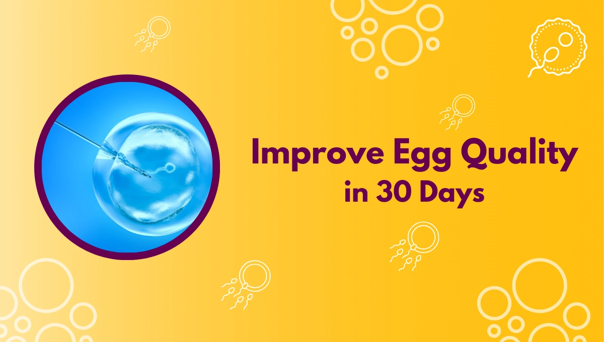 Improve Egg Quality in 30 Days