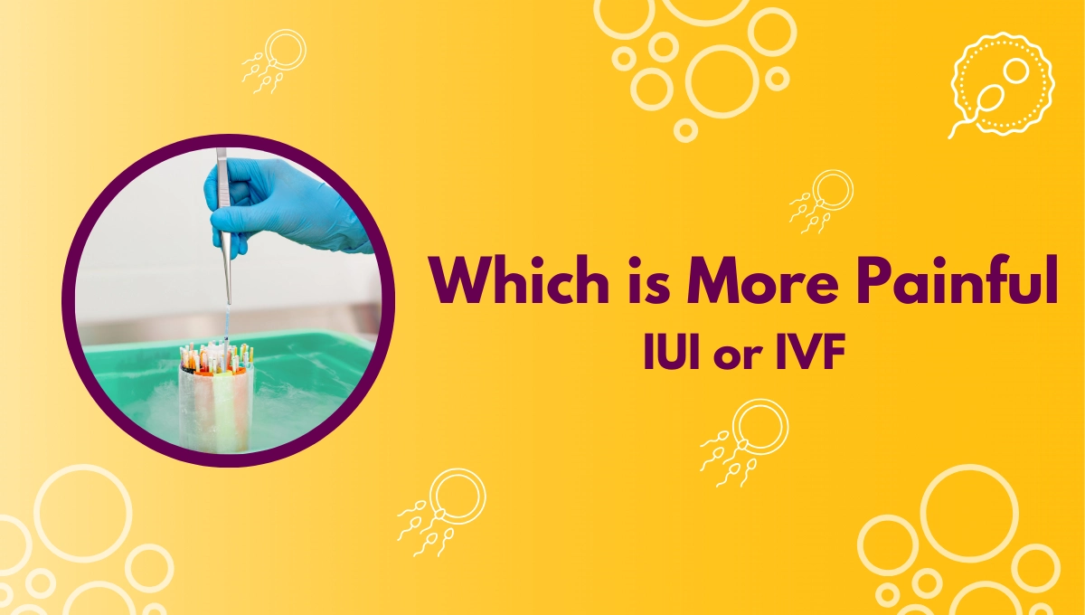 Which is More Painful IUI or IVF