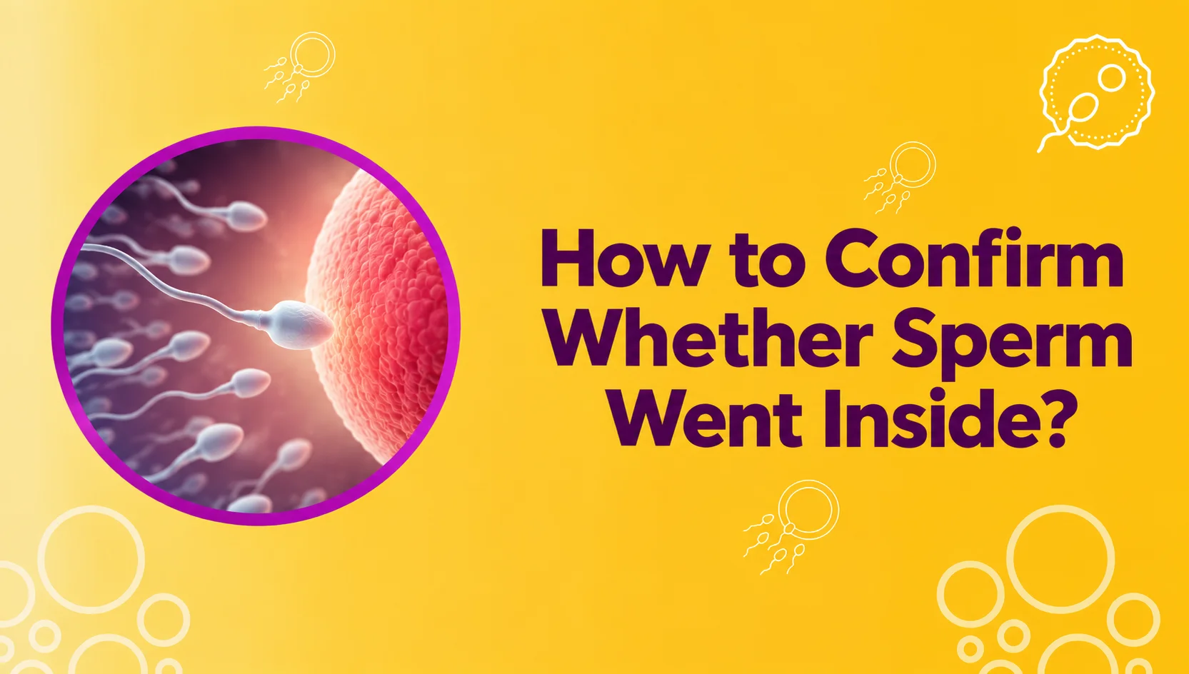 How to Confirm Whether Sperm Went Inside