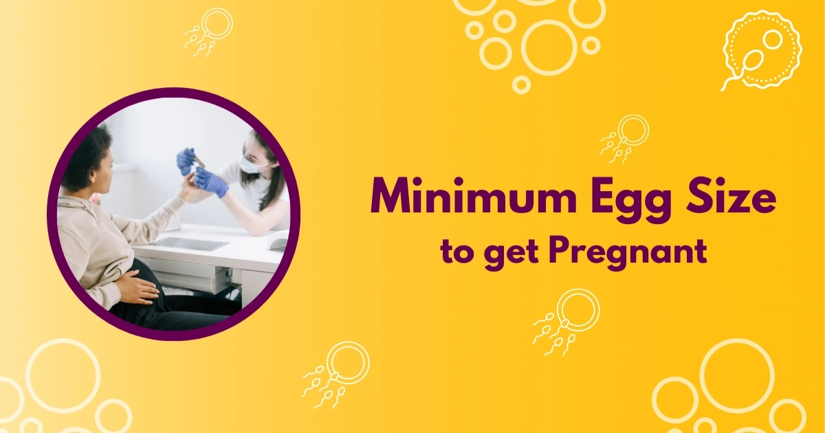 Minimum Egg Size to get Pregnant