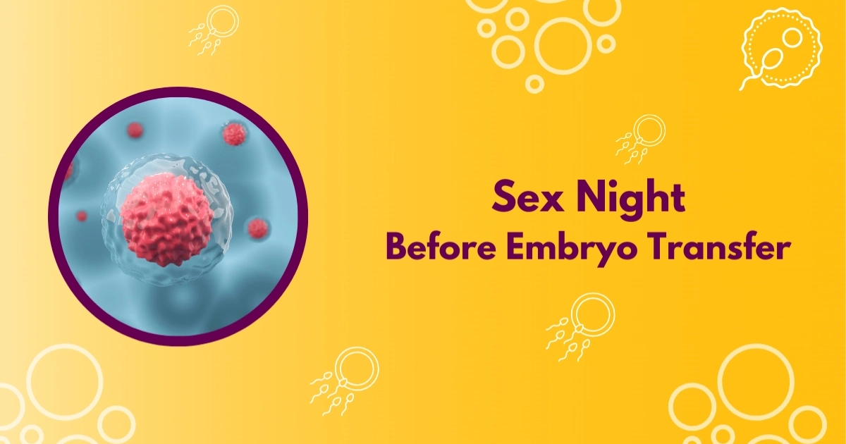 Sex Night Before Embryo Transfer