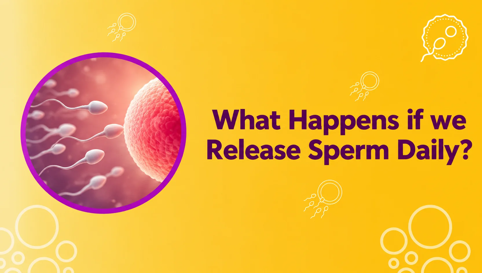 What Happens If We Release Sperm Daily